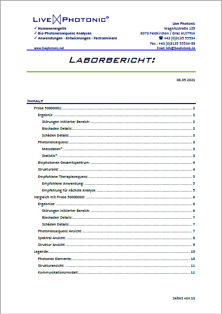 Muster Labrbericht Seite 1