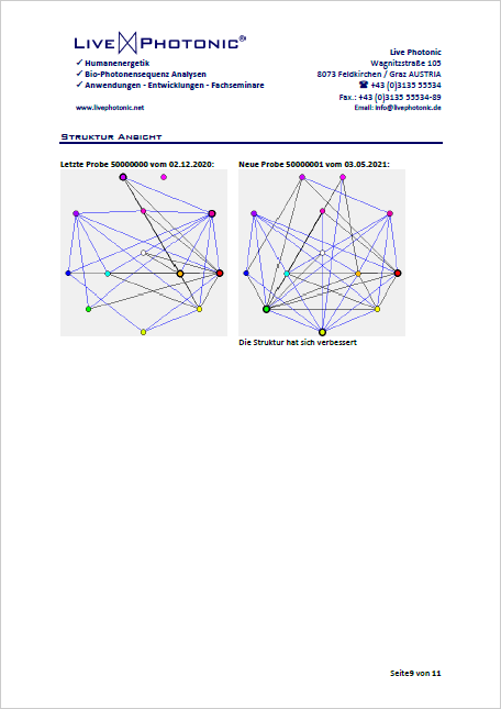 Muster Labrbericht Seite 1