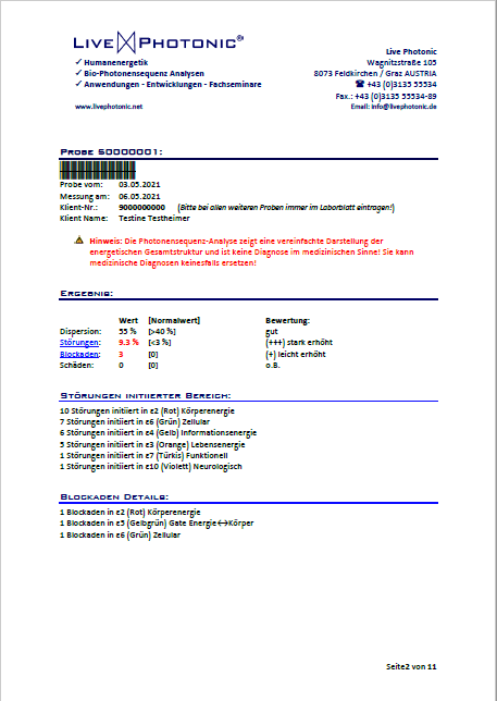 Muster Labrbericht Seite 1