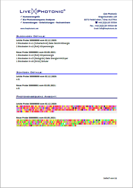 Muster Labrbericht Seite 1