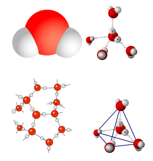 H2O Cluster