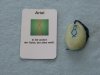 (Bild für) Talisman Ariel