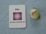 (Bild für) Talisman Elba