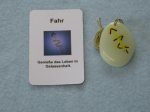 (Bild für) Talisman Fahr