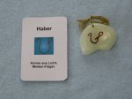 (Bild für) Talisman Haber