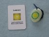 (Bild für) Talisman Lateran