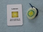 (image for) Talisman Lateran