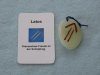 (Bild für) Talisman Latos