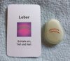 (Bild für) Talisman Leber