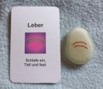 (Bild für) Talisman Leber